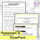 Year 1 Maths - Statistics Program - Australian Curriculum