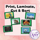 Living and Non Living Sort