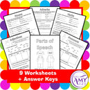 Grammar - Parts of Speech Pack