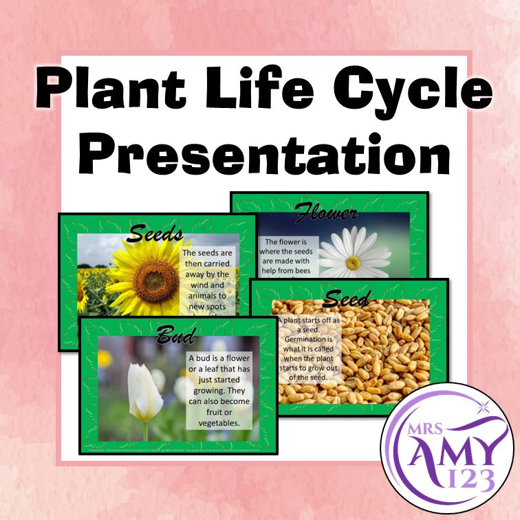 Plant Life Cycle Presentation