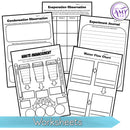 Year 4 Science - Earth and Space Science Unit - Australian Curriculum Version 9