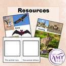 Foundation Science - Physical Sciences Unit - Australian Curriculum