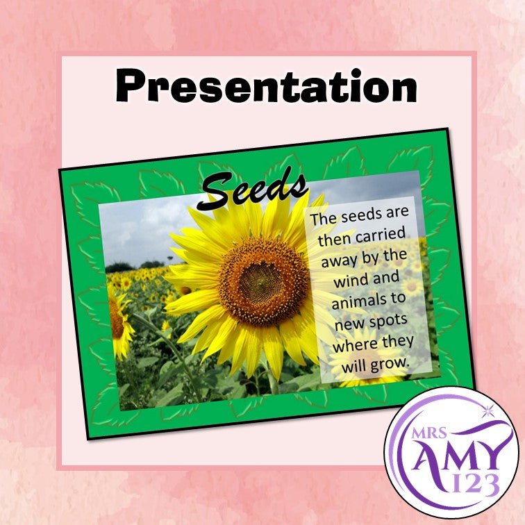 Plant Life Cycle Presentation