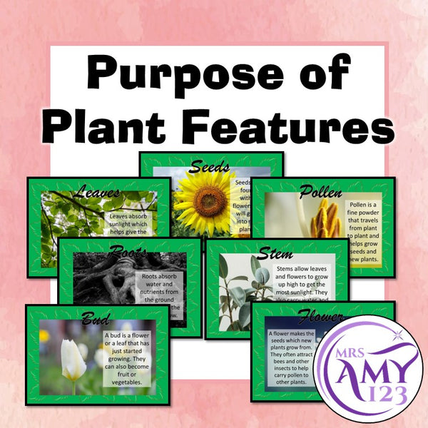 Purpose of Plant Features