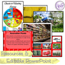 Year 1 & 2 Technologies - Food and Fibre Unit - Australian Curriculum