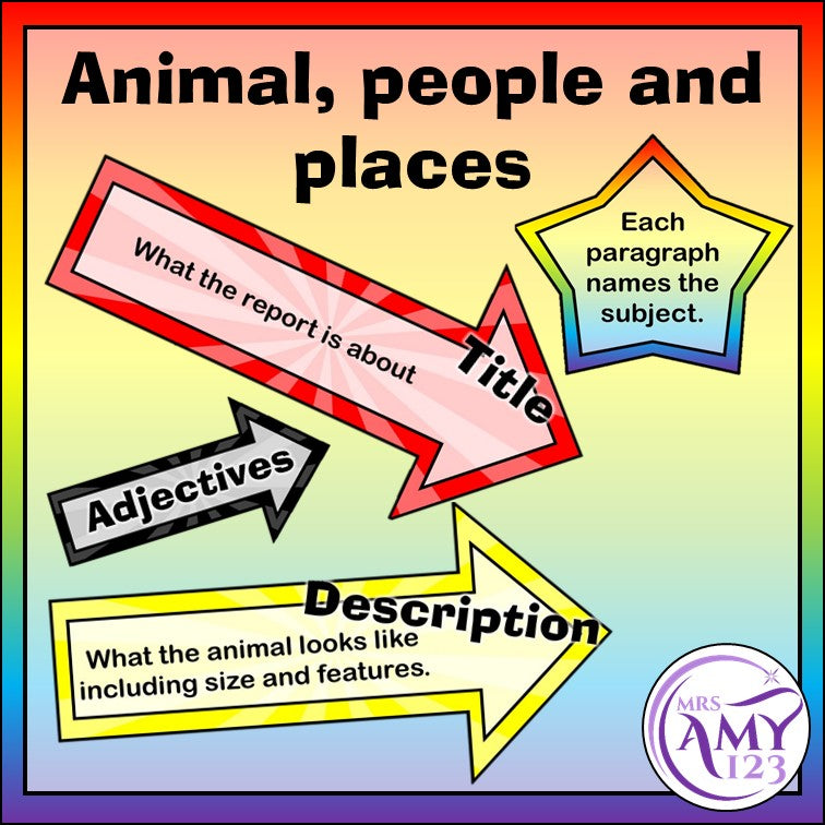 Report Writing Features - Display or Activity