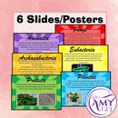 Kingdom Presentation or Posters