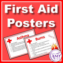 First Aid Posters - Steps and DRS ABCD