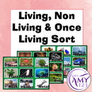 Living, Non Living & Once Living