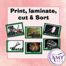 Living, Non Living & Once Living