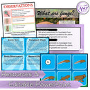 Year 6 Science - Biological Science Unit - Australian Curriculum